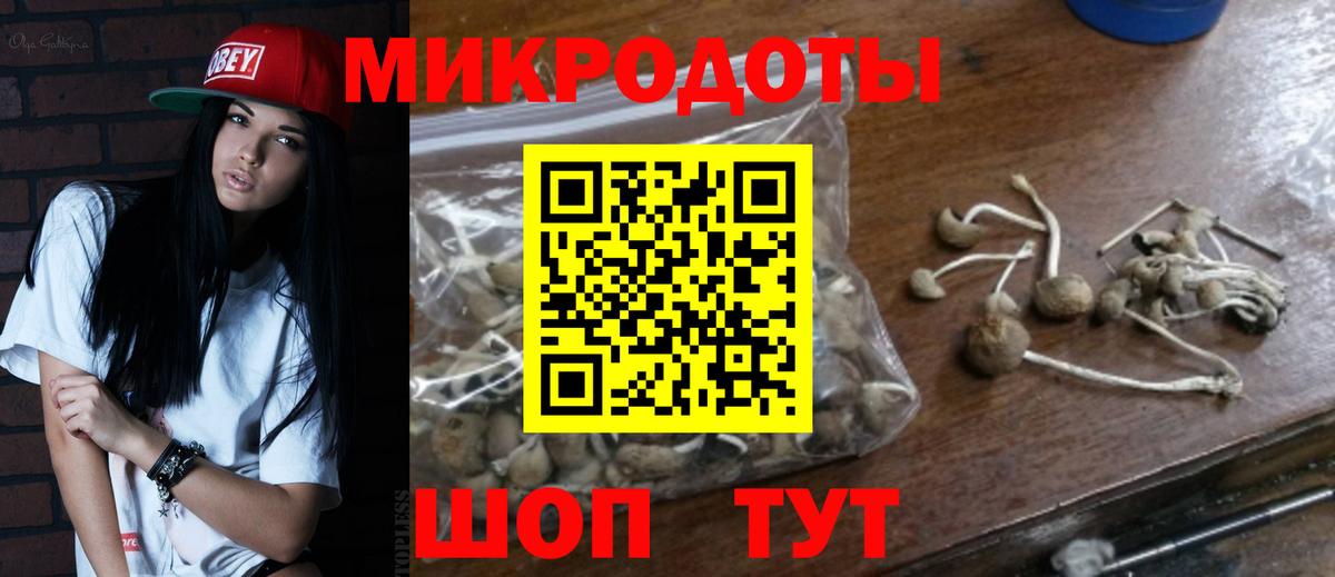 купить закладку  Вход с VPN  Южноуральск  Псилоцибиновые грибы Psilocybine cubensis 